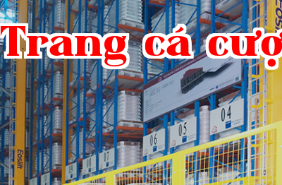 Ngành công nghiệp sợi hóa học.